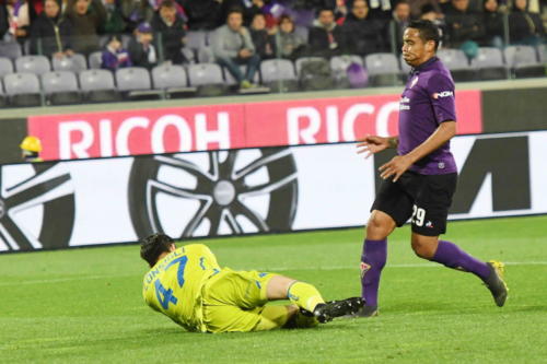 ACF FIORENTINA VS SASSUOLO 15